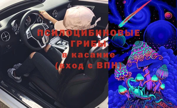 твердый Мегион