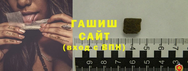 твердый Мегион