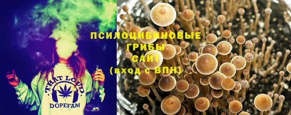 твердый Мегион