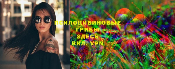 гашик Медвежьегорск