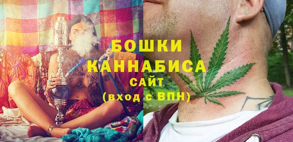 твердый Мегион
