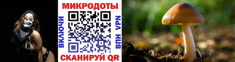купить закладку Оха Псилоцибиновые грибы мицелий